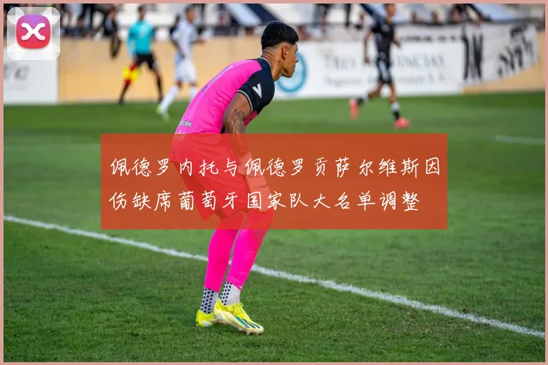 佩德罗内托与佩德罗贡萨尔维斯因伤缺席葡萄牙国家队大名单调整