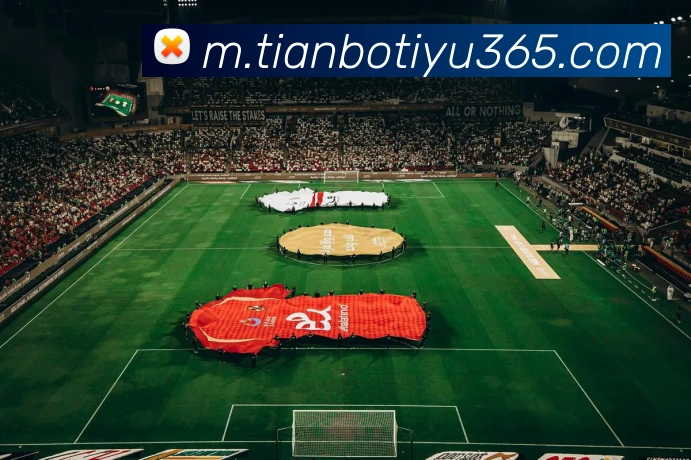 天博体育APP 高清赛事图